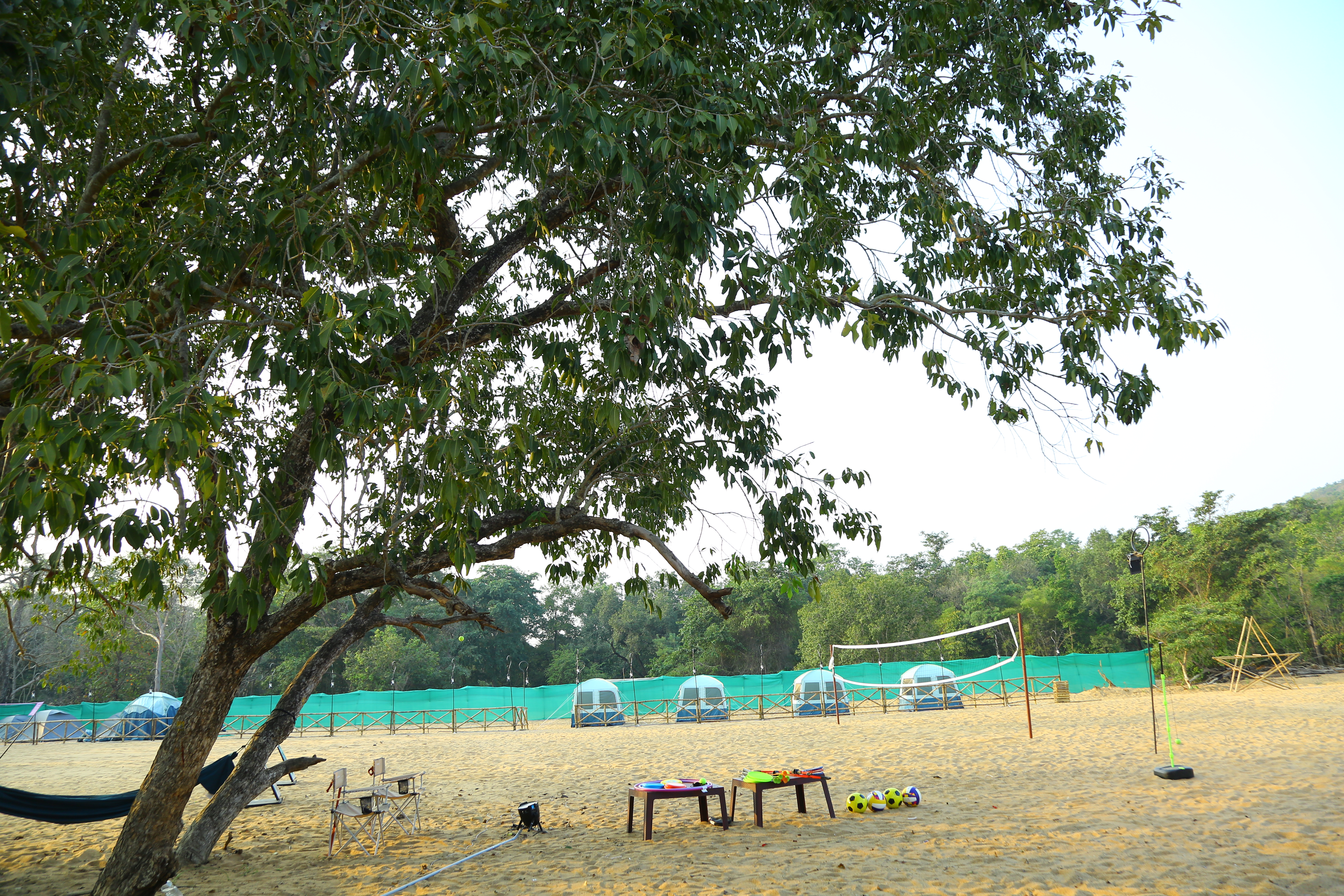 kaleshwaram tent city setup