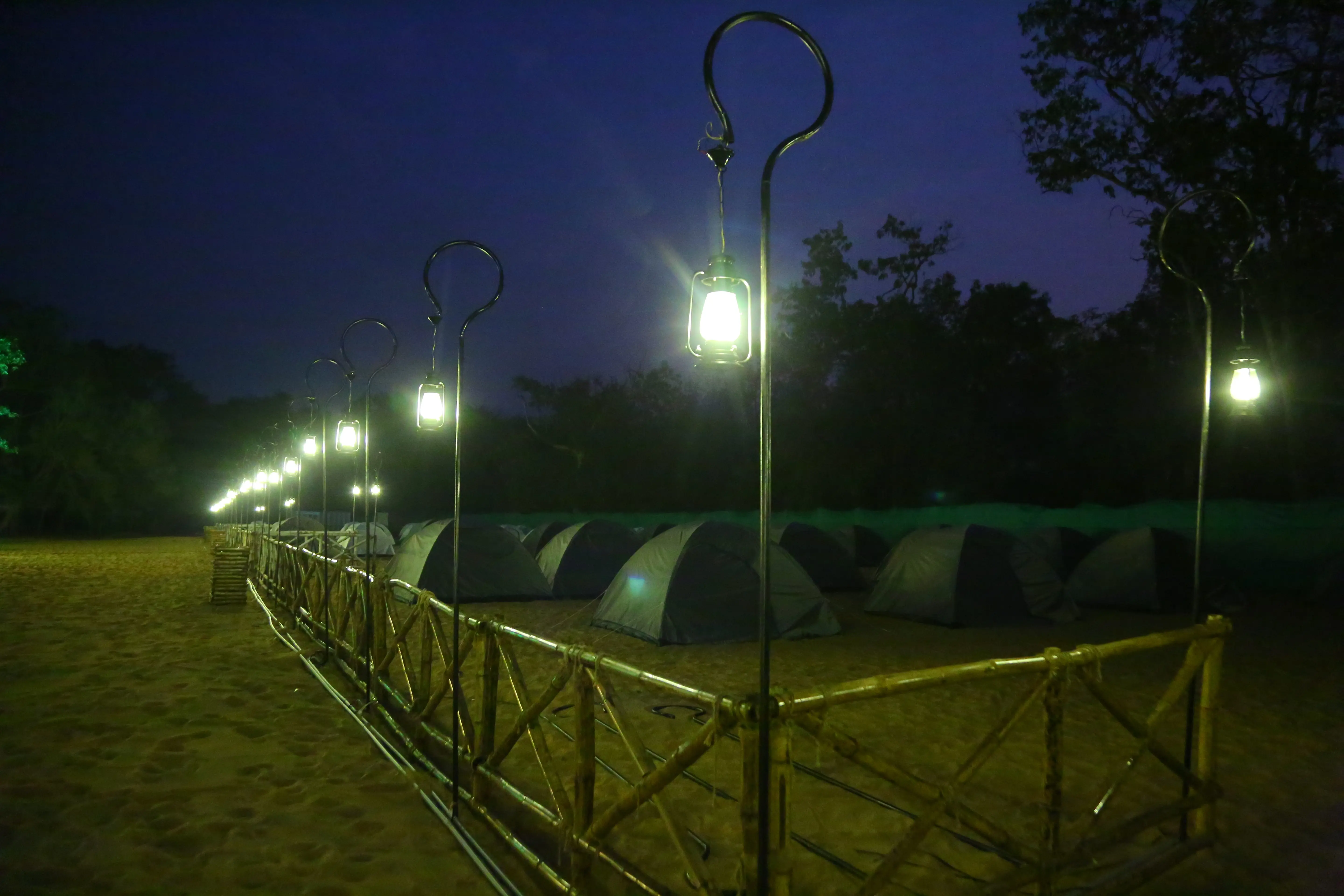 Birdwatching with a naturalist