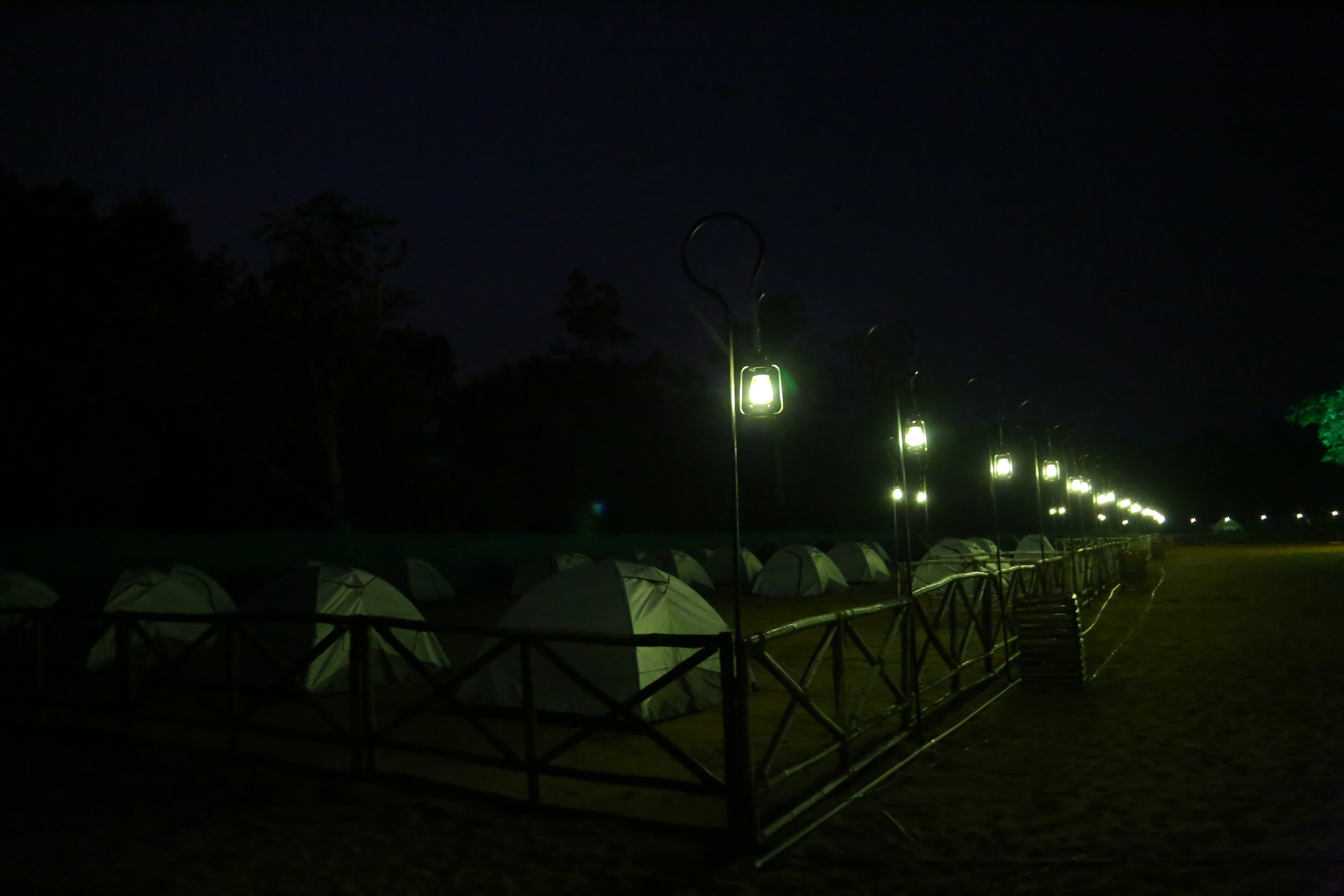 Tadvai Huts – forest hut retreat